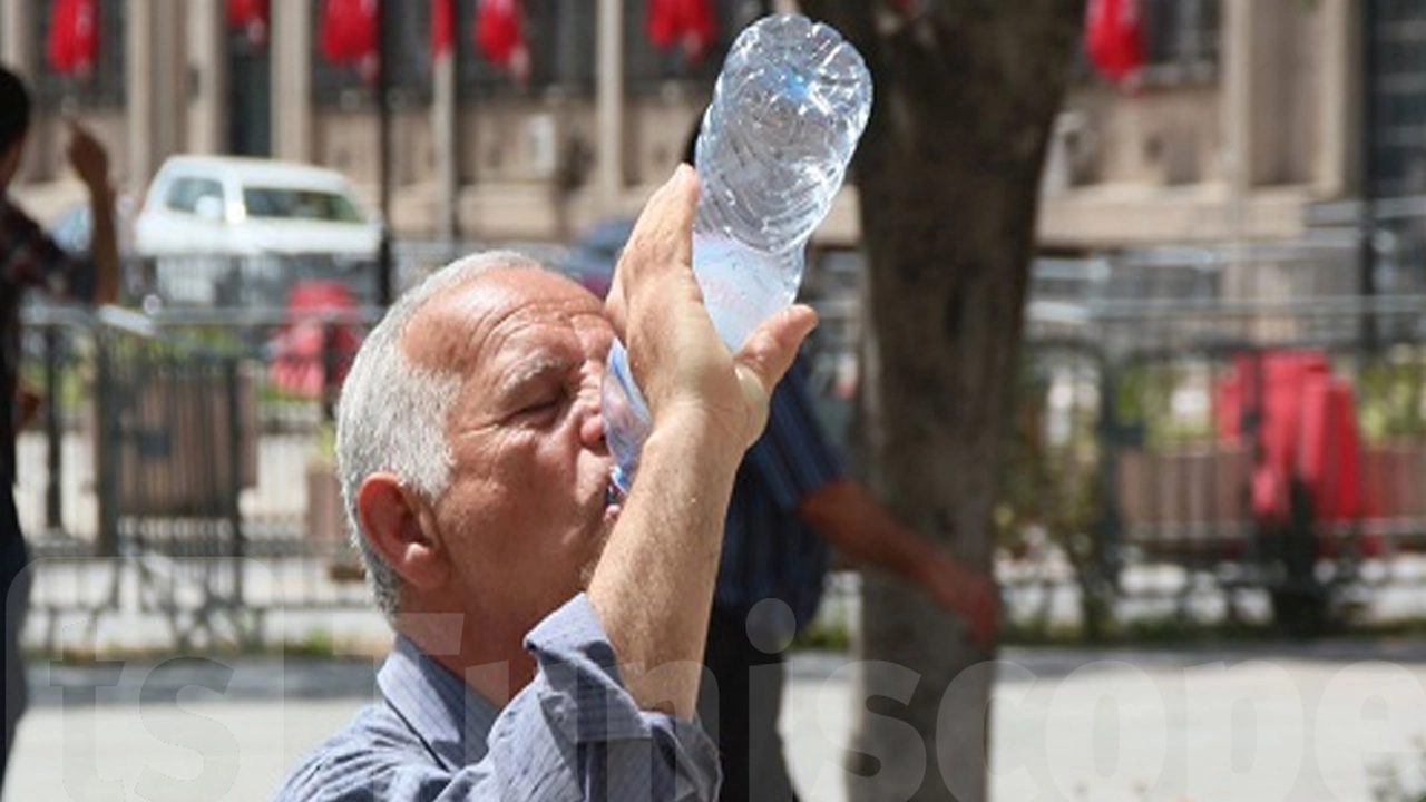 تحذيرات من موجات حرّ شديدة تضرب البلاد بين جويلية وسبتمبر